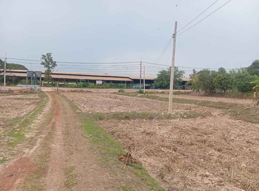 เจ้าของขายเอง เปิดขายที่ดิน 1ไร่ ทางหลวง 2022