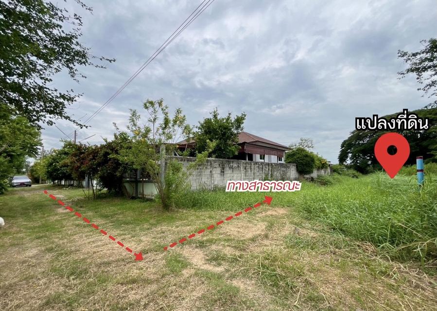 ที่ดินจังหวัดพิษณุโลก 3