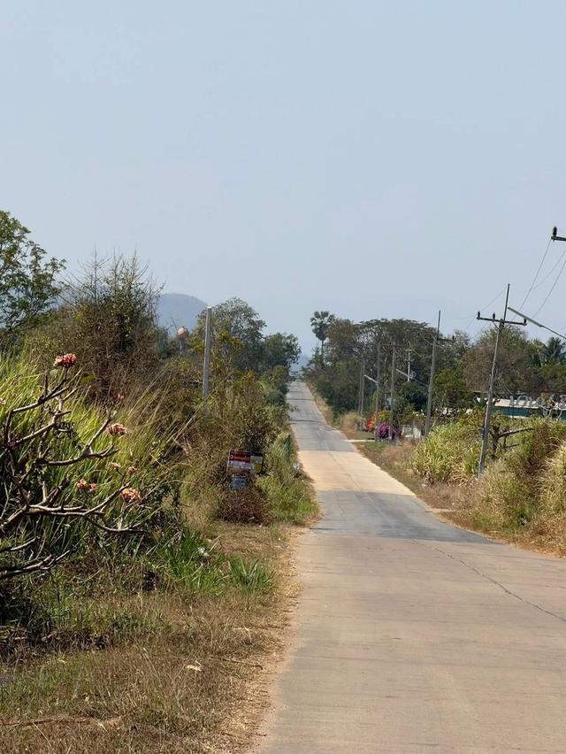 ที่ดินโฉนดครุฑแดง 44-0-79 ไร่ อ.บ้านไร่ จ.อุทัยธานี ติดถนนลาดยาง ที่ดินสูงเท่าถนนไม่ต้องถม ซอย7 ห่างถนนหลัก333 (ถนน4เลน) เพียง 2 ก.ม. ปากทาง มี 7-11 , 14