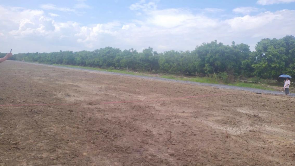 ขายที่ดินต.สันทรายอ.สารภีจ.เชียงใหม่ 100ตรว. 9