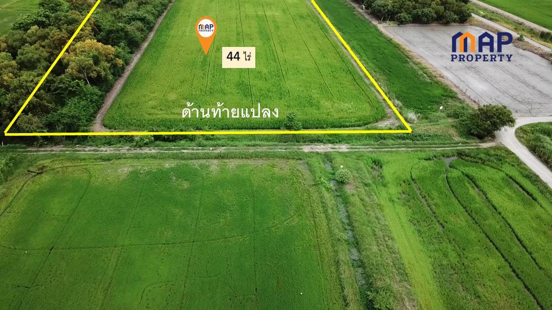 ขายที่ดินสวนเกษตรผสมผสาน 44 ไร่ ติดถนนเลียบ คลอง 13