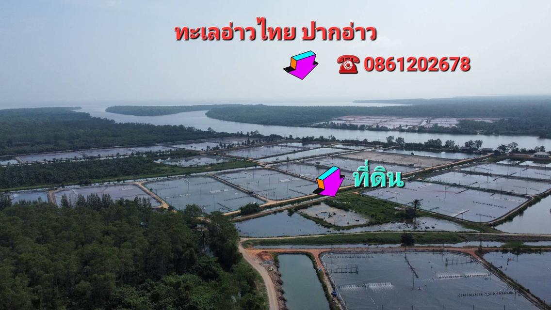 ขายที่ดินติดแม่น้ำติดทะเลอ่าวไทย 282ไร่ 14