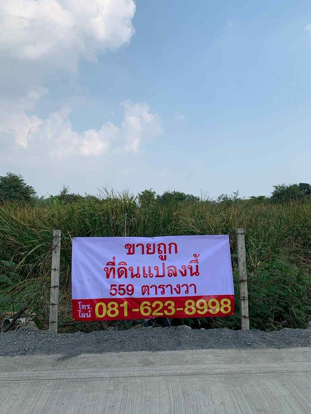 ขายที่ดินเปล่า ราคาถูก ทำเลเทพารักษ์ 1