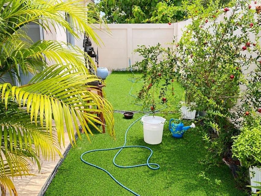 For Sale — Spacious 4-Bedroom House at Pattaya Garden View 6 size 105sqw 420sqm 4bedrooms 4bathrooms URGENT SALE 6