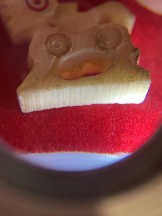 威猛的狮子 6