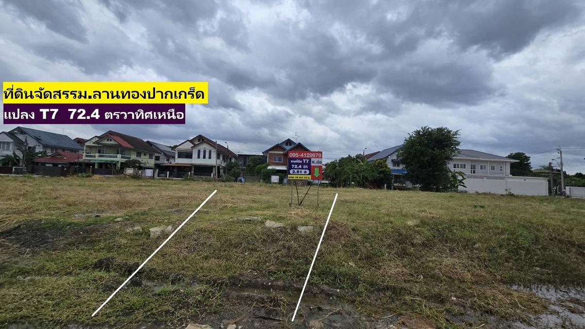 ขายที่ดินจัดสรร72.4 ตารางวา Sqw แปลงสวย T7,T8 ม.ลานทอง ปากเกร็ด กลับแจ้งวัฒนะนิดเดียว เข้าเมืองทองธานีก็นิดเดียวด้วยสุดๆ:ซอยในหมู่บ้านลานทอง 36/11 เ 20