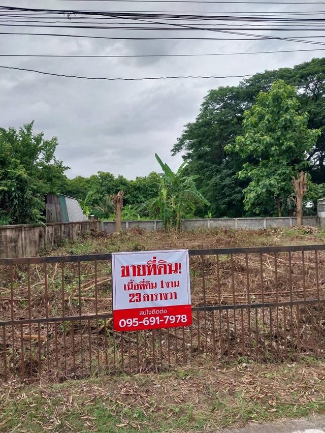 📍ขายที่ดินเมืองเชียงใหม่ (ใกล้เซ็นทรัลเฟสติวัล) 1งาน 23ตร.ว. 6