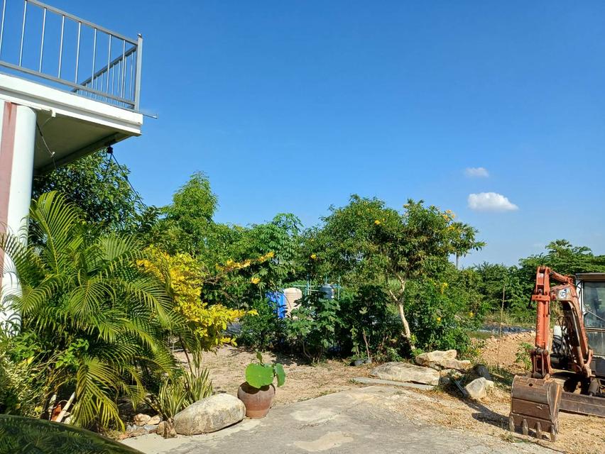 ขายด่วน! ที่ดินพร้อมบ้านและธุรกิจรังนกนางแอ่น (6 ไร่) 5