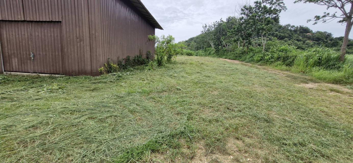 ขายที่ดินพร้อมสิ่งปลูกสร้าง 8