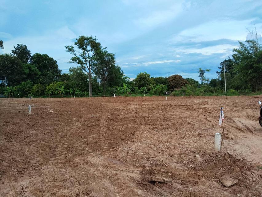 ที่ดินแบ่งขาย ใกล้ตัวเมืองกาฬสินธุ์ เหมาะสร้างบ้านอยู่อาศัย 11
