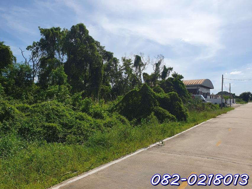 ขายที่ดิน 100 ตร.ว. ถนนอ่วมอ่อง หนองเพรางาย นนทบุรี 2