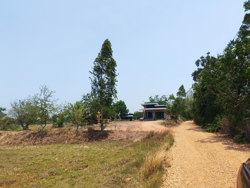 ​🏠 [ประกาศขาย] บ้านสวนโมเดิร์น พร้อมที่ดินผืนใหญ่ 11 ไร่เศษ 🌳 ​สัมผัสชีวิตใกล้ชิดธรรมชาติ บนพื้นที่ส่วนตัวที่ตอบโจทย์ทุกการใช้ชีวิต 🍃 4