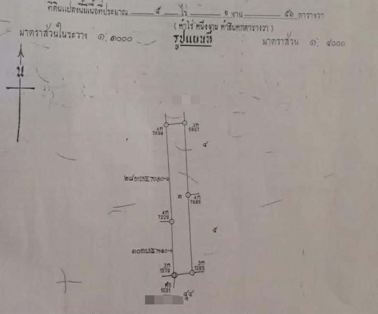ที่ดิน 9ไร่ 1งาน 98ตารางวา หาดใหญ่ 3
