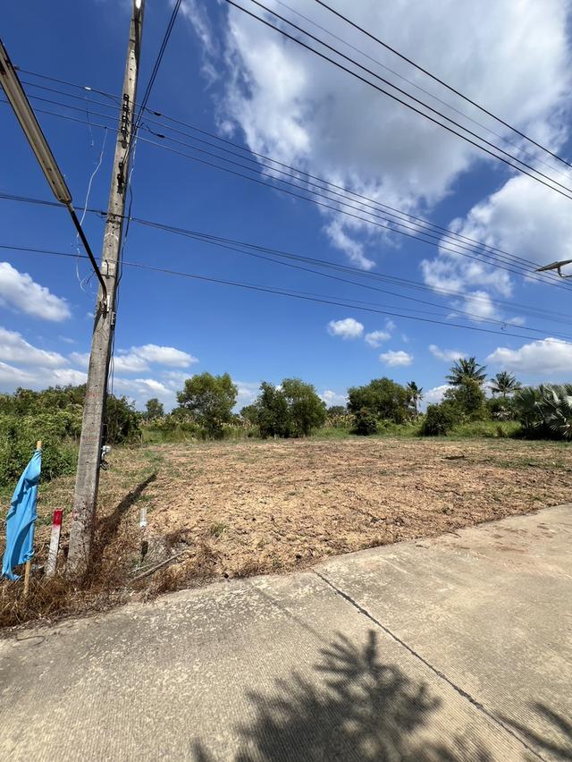 ที่ดินถมแล้วพร้อมสร้างบ้าน สาธารณูปโภคครบ คลอง 11 อ.หนองเสือ จ.ปทุมธานี 4