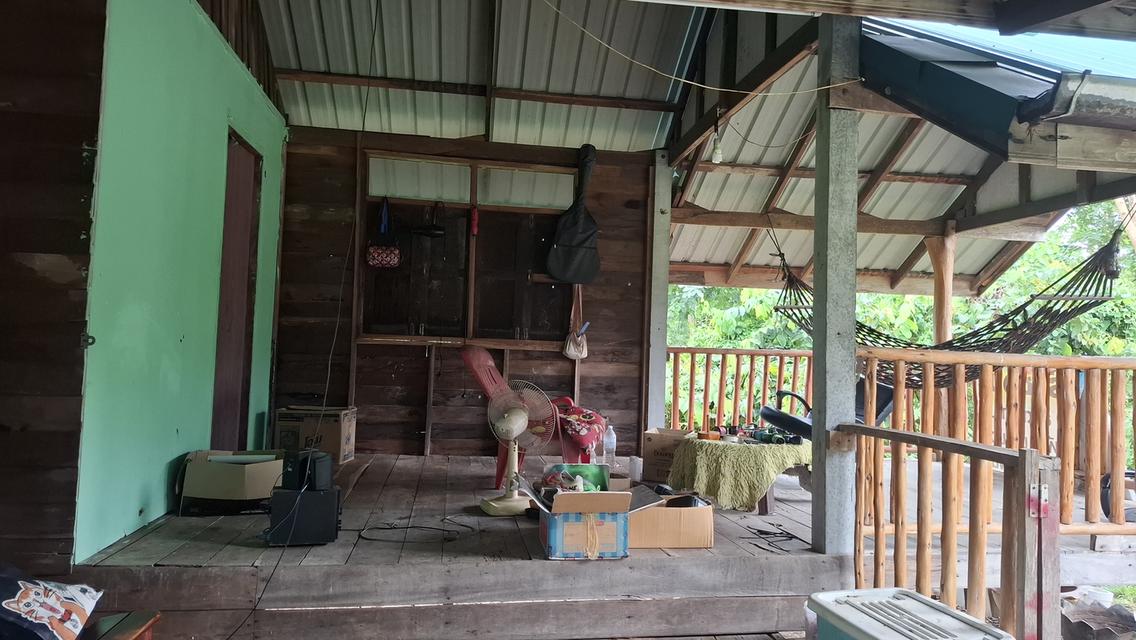 บ้านสองหลังพร้อมที่ดินสองไร่บรรยากศร่มรื่น 14