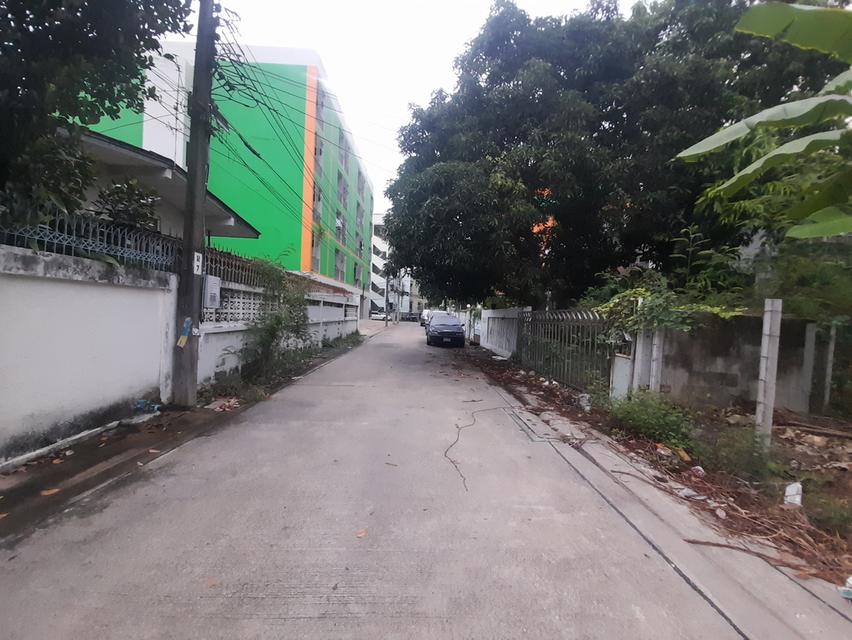 ที่ดิน359ตรว.ถนนงามวงศ์วาน อ.เมือง จ.นนทบุรี 4