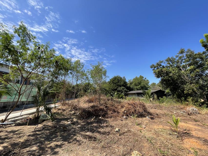 ขายที่ดิน ถมแล้วนาน 10 ปี 6