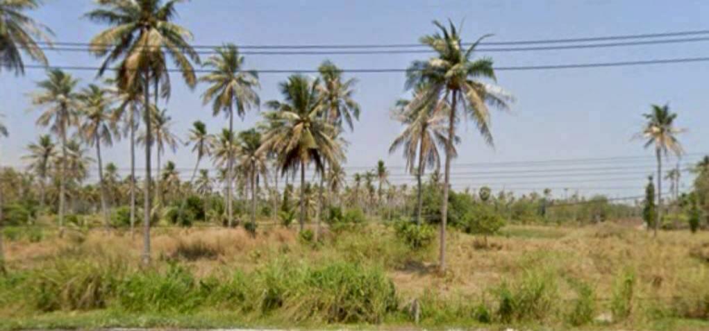 ขายด่วน! ที่ดินทำเลทอง ติดถนนใหญ่ ทับสะแก-หาดวนกร 12 ไร่เศษ เหมาะพัฒนาโครงการ น่าลงทุน 8