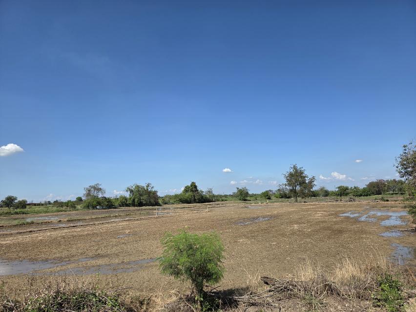 ที่ดิน อ.ภาชี จ.อยุธยา 7