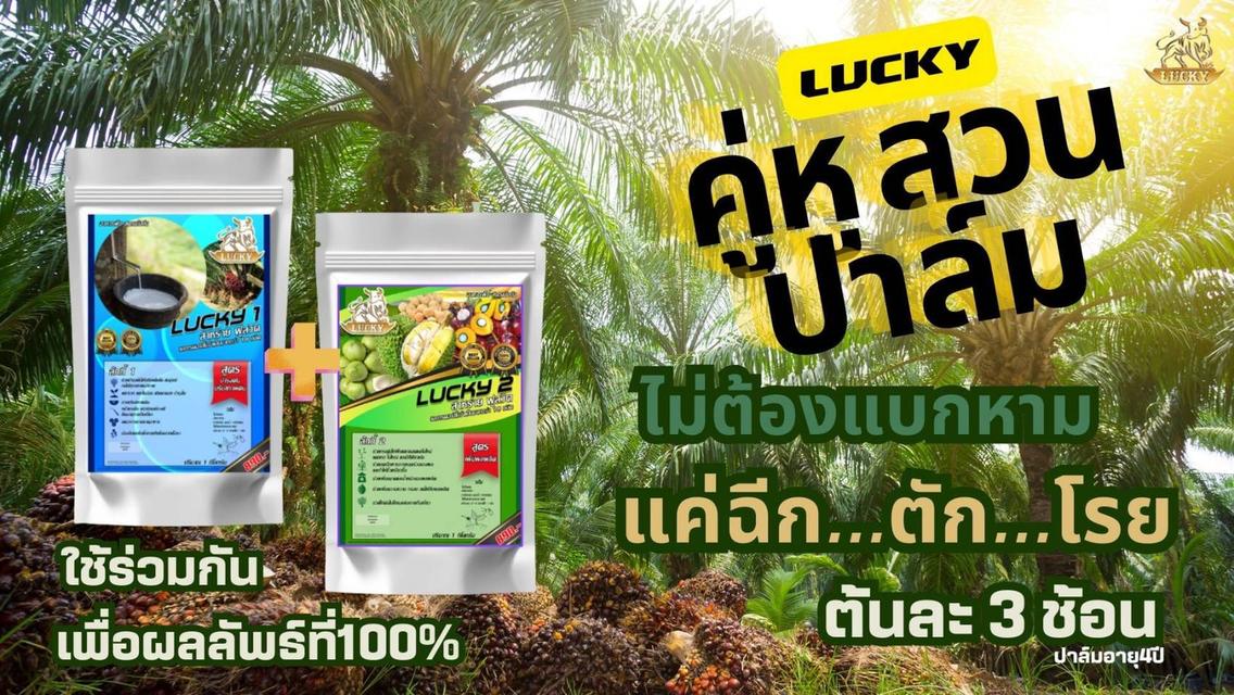ลักกี้ LUCKY 