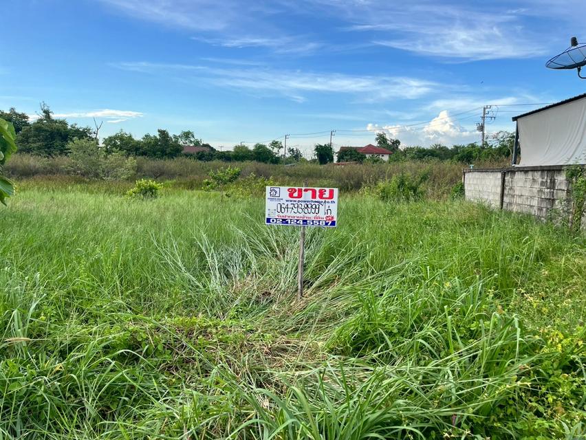 ที่ดินเปล่า ถมแล้ว ใกล้มหาวิทยาลัยธรรมศาสตร์ศูนย์รังสิต ถนนเชียงราก ต.เชียงรากใหญ่ อ.สามโคก จ.ปทุมธานี 10