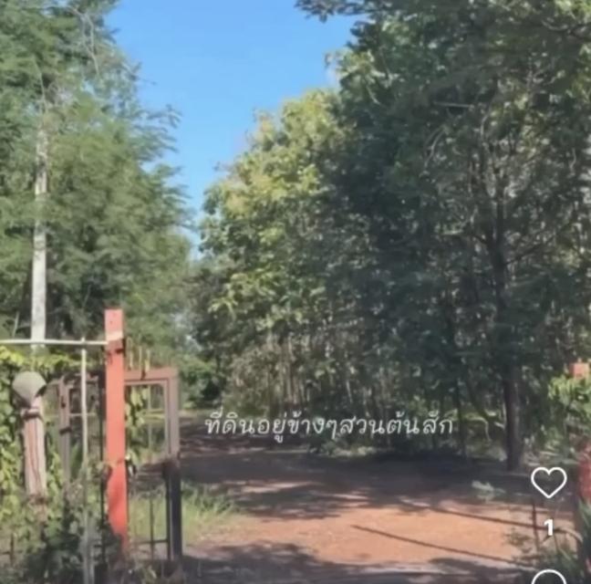 ขายที่ดินเปล่าหล่มสัก 6