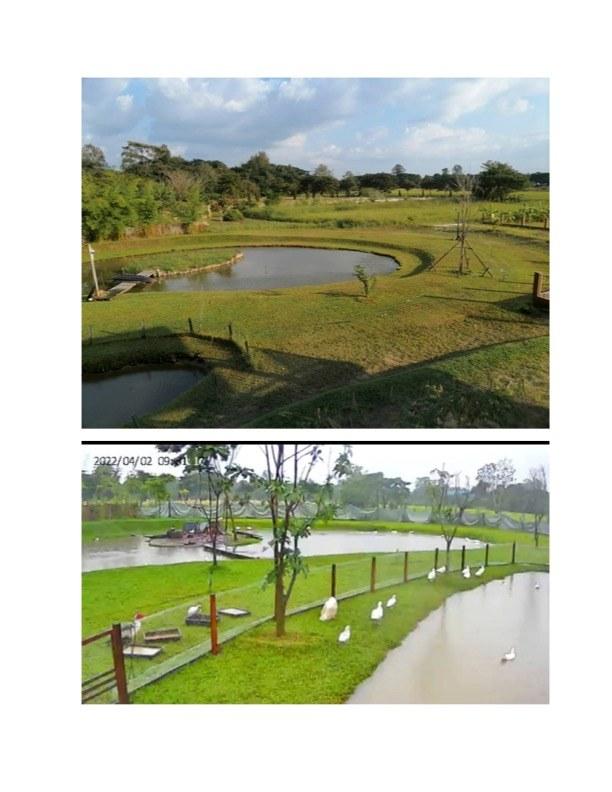 ขายที่ดินและบ้านสวน วงแหวนรอบสาม ใกล้เมืองเชียงใหม่ 4