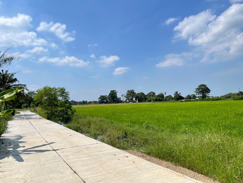 ที่ดิน 11 ไร่ติดถนน 2 ด้าน ใกล้ถนนมิตรภาพ หนองแค สระบุรี 4