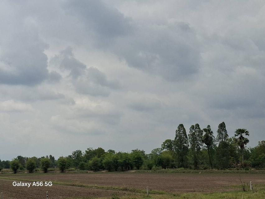 ขายที่ดิน 31 ไร่ 322 ตร.วา ติดถนนใหญ่ หนองขาหย่าง อุทัยธานี ผังเมืองสีชมพู 14