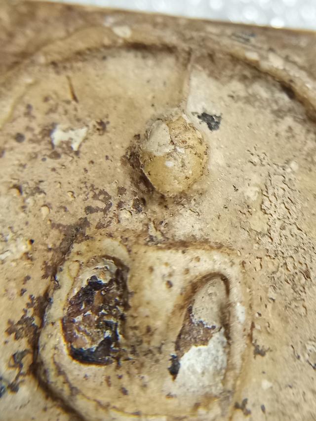 พระสมเด็จวัดระฆัง พิมพ์ใหญ่ 5