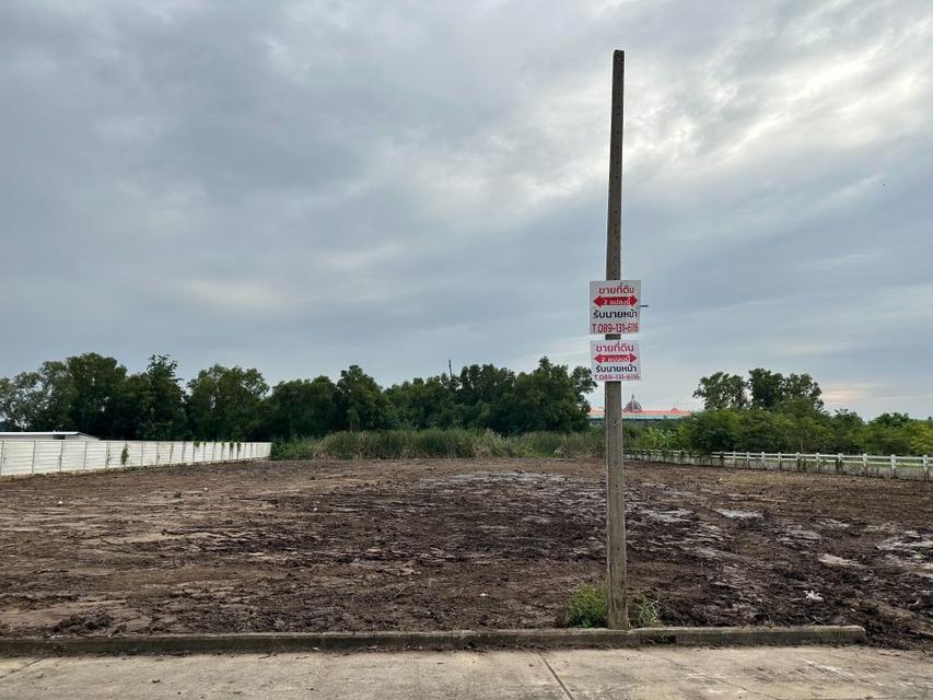 ขายที่ดินเปล่าถมแล้วพร้อมโฉนด 2 แปลงติดกันขนาดแปลงละ 575 ตรว. ติดคลอง ใกล้ถนนใหญ่ ทำเลทอง “เวิลด์คลับแลนด์” คลองสาม ปทุมธานี  1