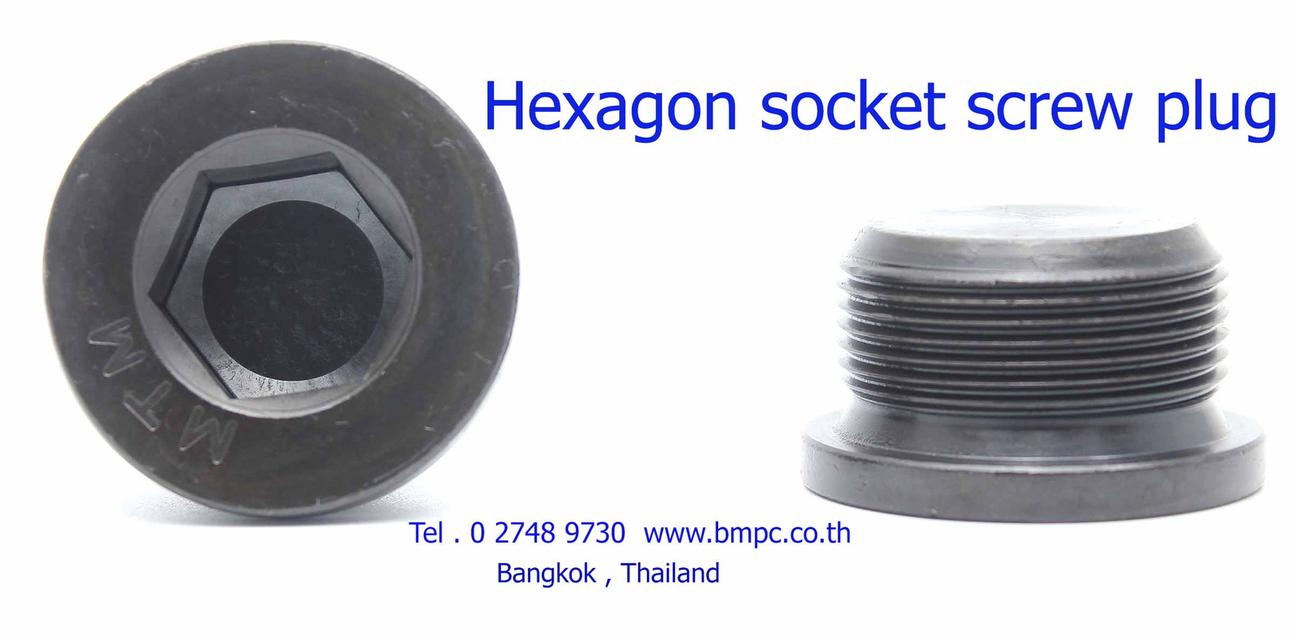 Aluminium plugs with magnet, ปลั๊ดอุดพร้อมเดือยแม่เหล้ก, Amecoil, Schnorr 10