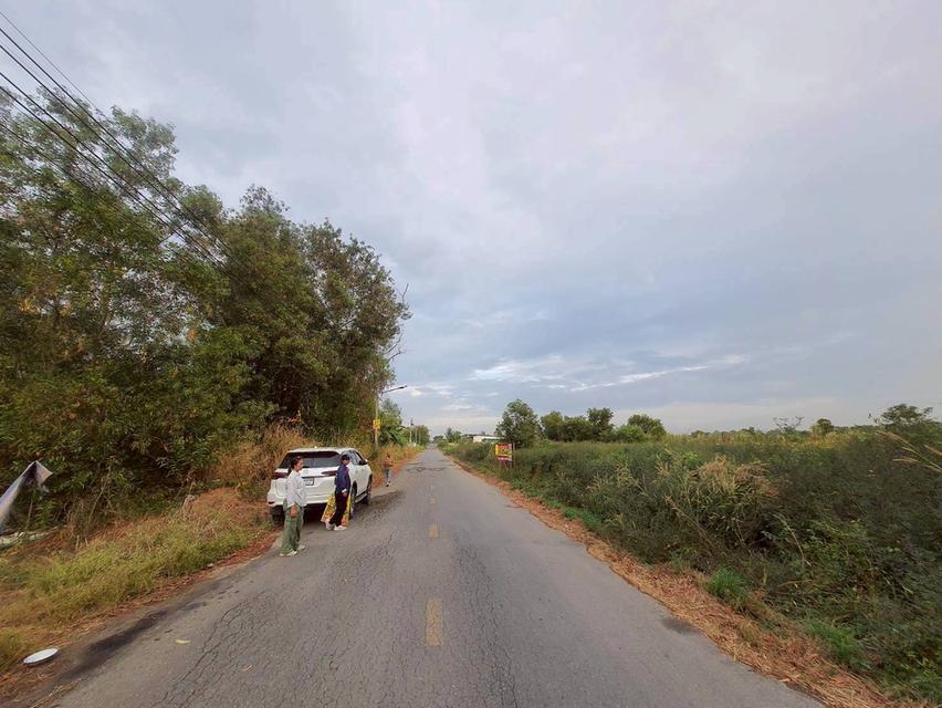 🔊Vายถูก‼️ที่ดิน 100 ตารางวา💢ติดถนนลาดยางสาธารณะ 📌 คลองสี่ ตะวันออก70 อ.คลองหลวง จ.ปทุมธานี 3