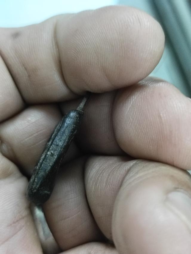 หลวงปู่ศุข เนื้อผงใบลาน,พระปิดตาเนื้อผงใบลานหลงรักเก่า 4