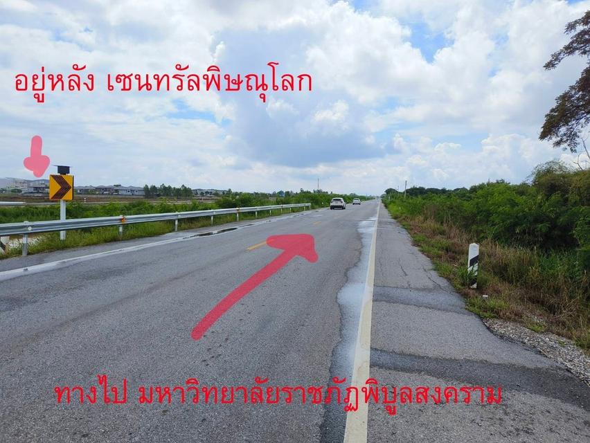  ประกาศขายที่ดิน พิษณุโลก 3