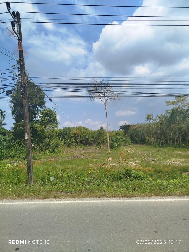 ที่ดิน