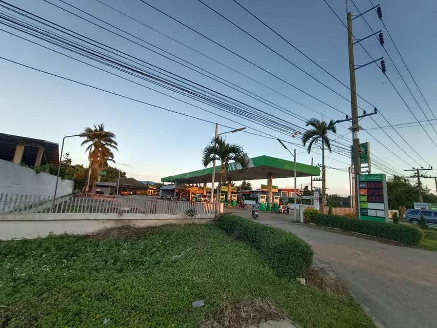 บ้านและที่ดินวิวหลักร้าน 18