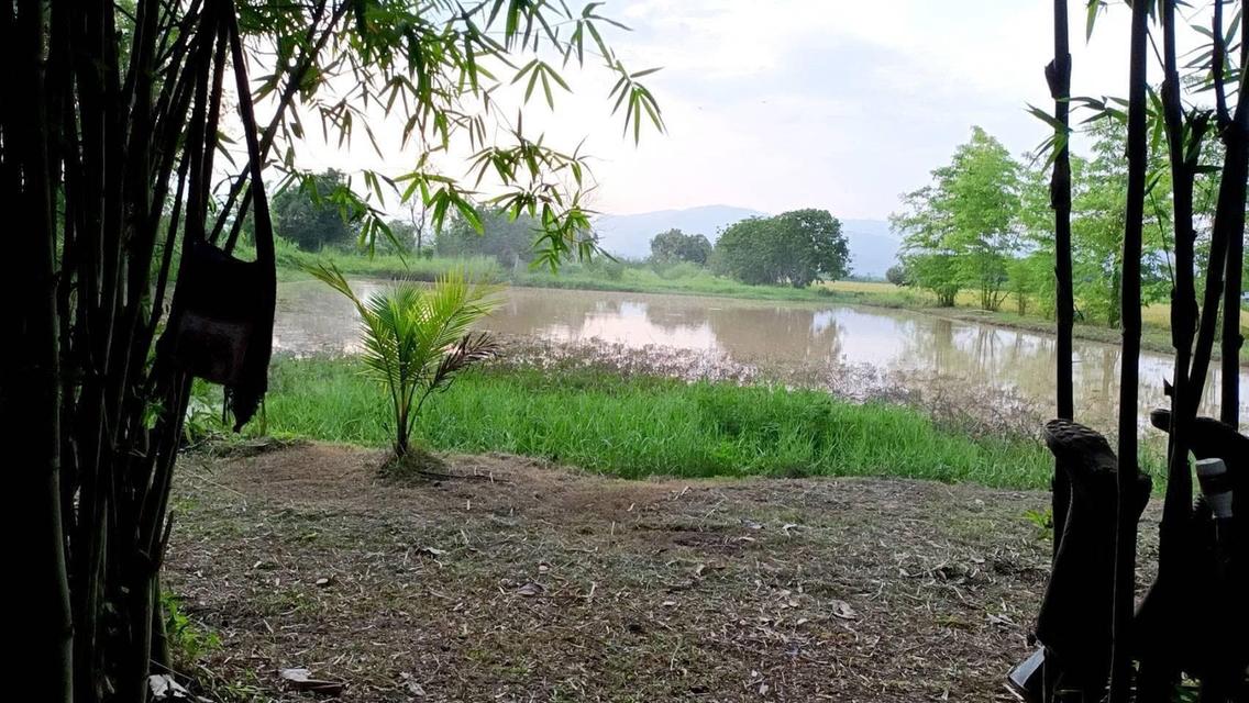 บ้านพร้อมที่ดินไร่นาสวนผสม 8