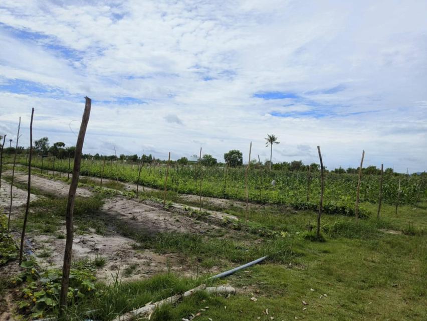 ที่ดิน 12 ไร่ 3 งาน ใกล้หาดบ่ออิฐ ติดถนนสายหลัก สายรอง 10
