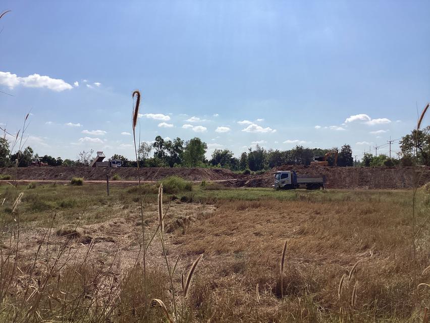 ขายที่ดิน58ไร่ติดถนนใหญ่ใกล้ ร.พ.เอกชน อ.เมืองนครพนม 7