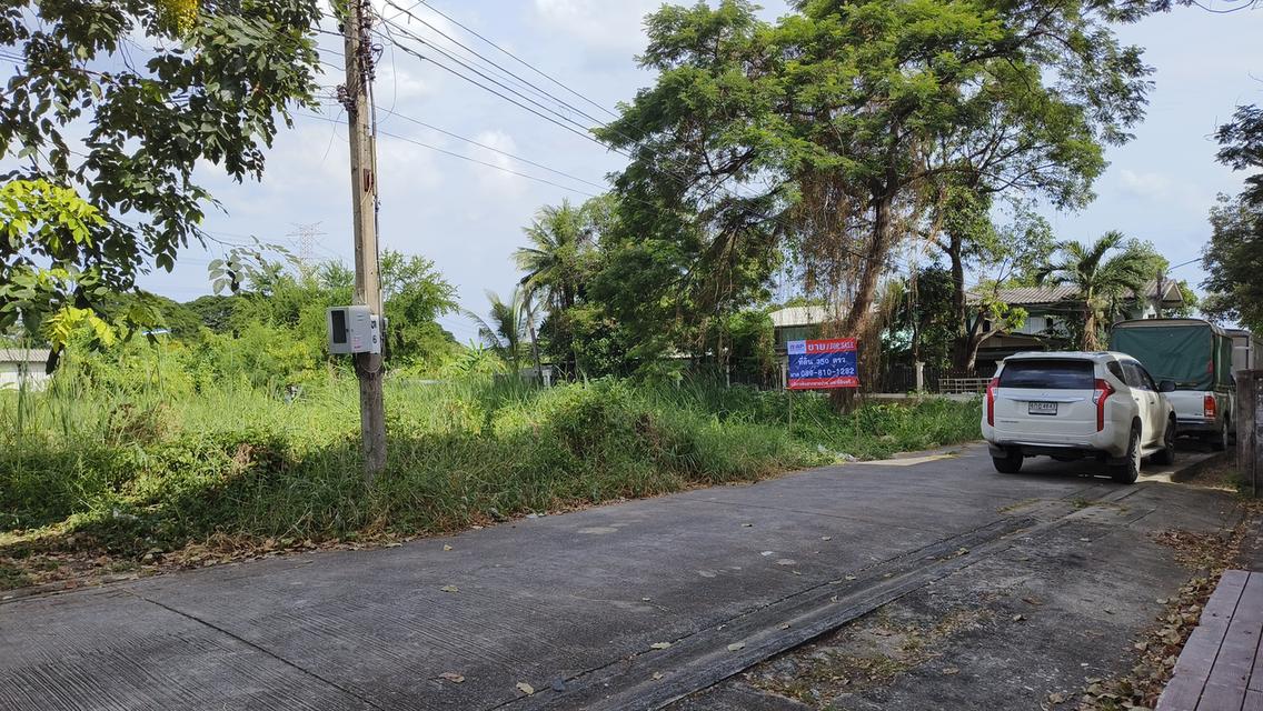 ขาย ที่ดินแปลงสวยสำหรับนักลงทุนและผู้ที่กำลังมองหาที่ดินเปล่า 10