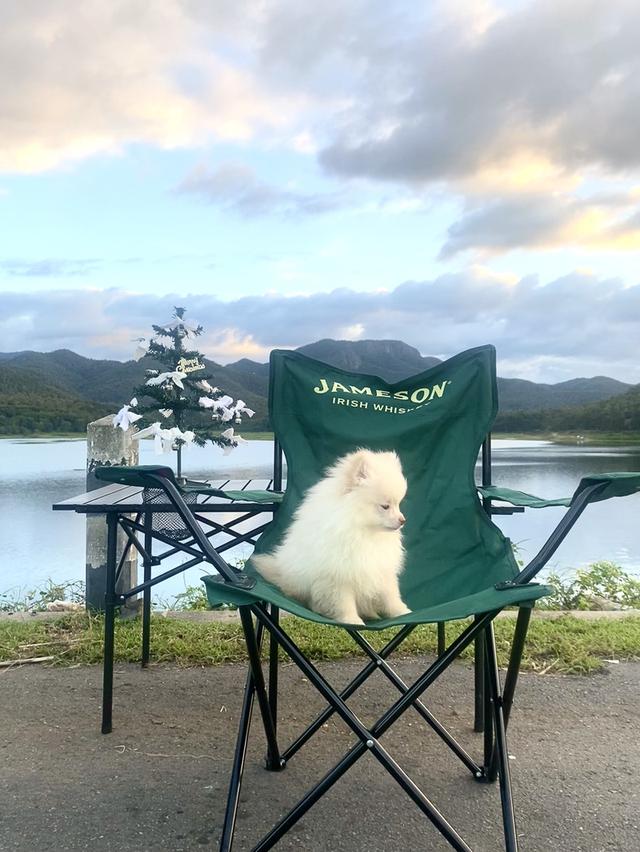 ปอม ชายจริงหญิงแท้ น่ารักๆ 11