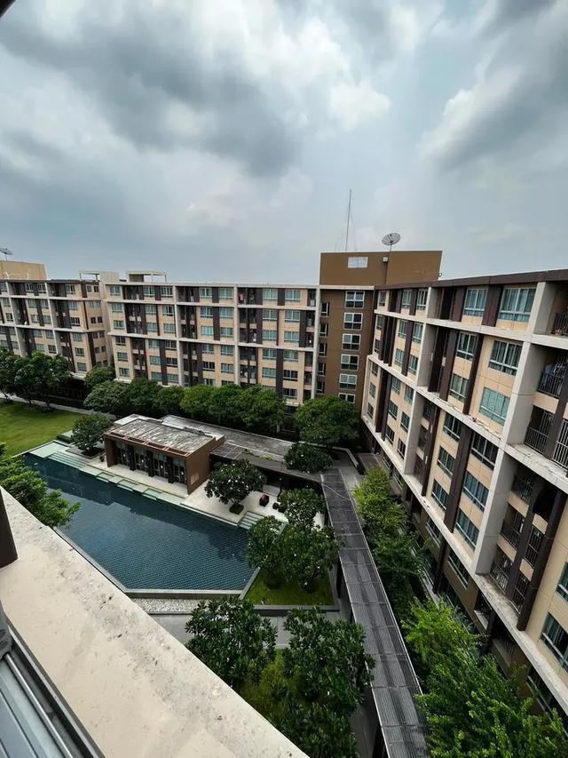 ปล่อยเช่าคอนโดสวย Dcondo Campus Resort Rangsit 6