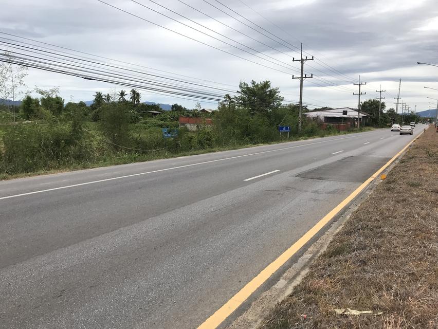 ขายที่ดินแปลงสวย ทำเลดี ติดถนนใหญ่ ตรงข้ามกับบริษัท ฟู่เซิง จำกัด อำเภอดอยหล่อ-จอมทองจังหวัเชียงใหม่ เนื้อที่ 1ไร่สวยรูปสี่เหลี่ยมหน้ากว้าง20เมตร 4