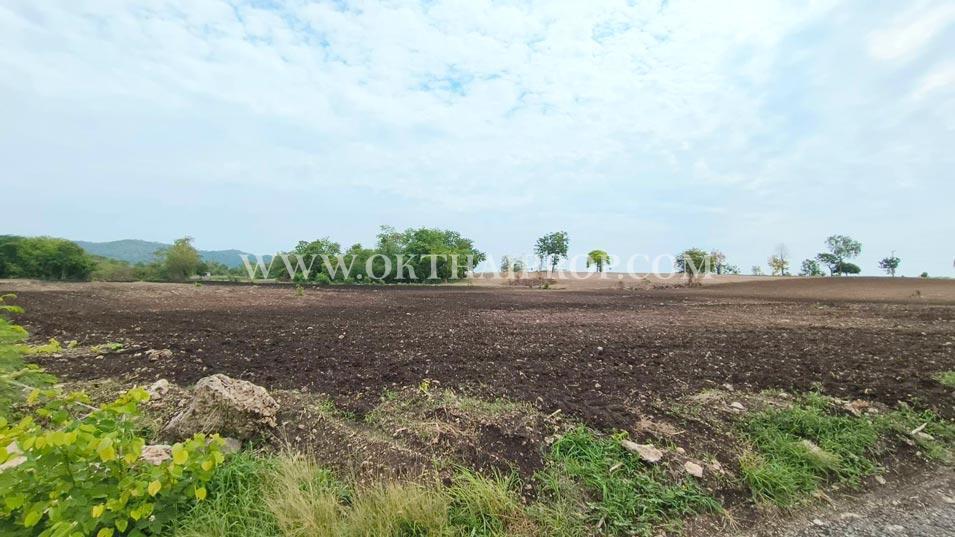 ที่ดินติดถนน ต.ดอนดึง อ.บ้านหมี่ จ.ลพบุรี 3