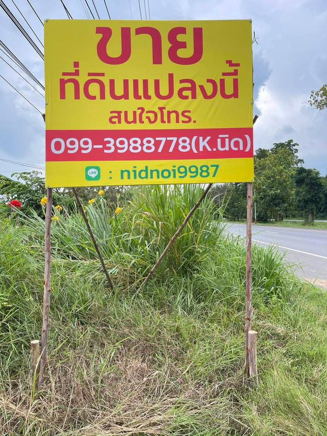 ขายที่ดิน ปักธงชัย ใกล้สหกรณ์ ลาน3 10