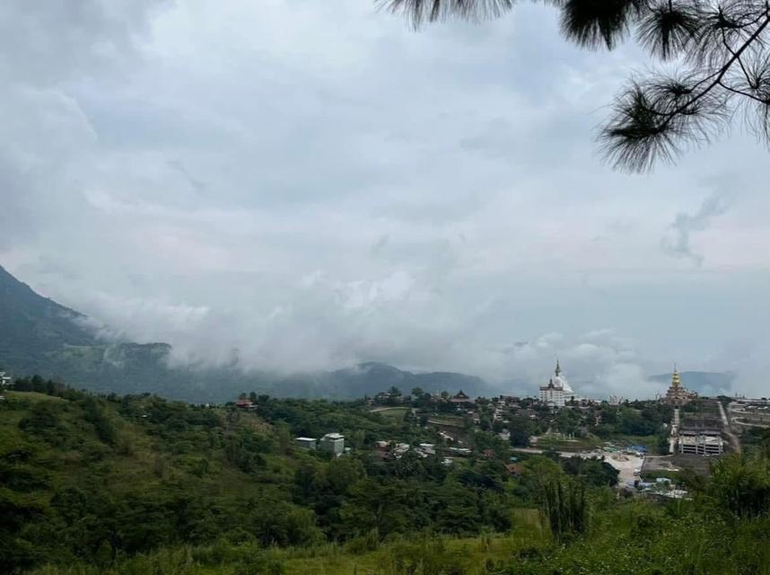 ที่ดินเขาค้อ 52 ไร่ เนินเขา 2