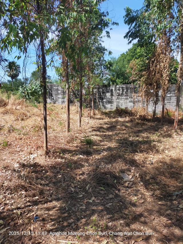 ที่ดินเปล่า ใกล้ห้างเซ็นทรัลชลบุรี 2