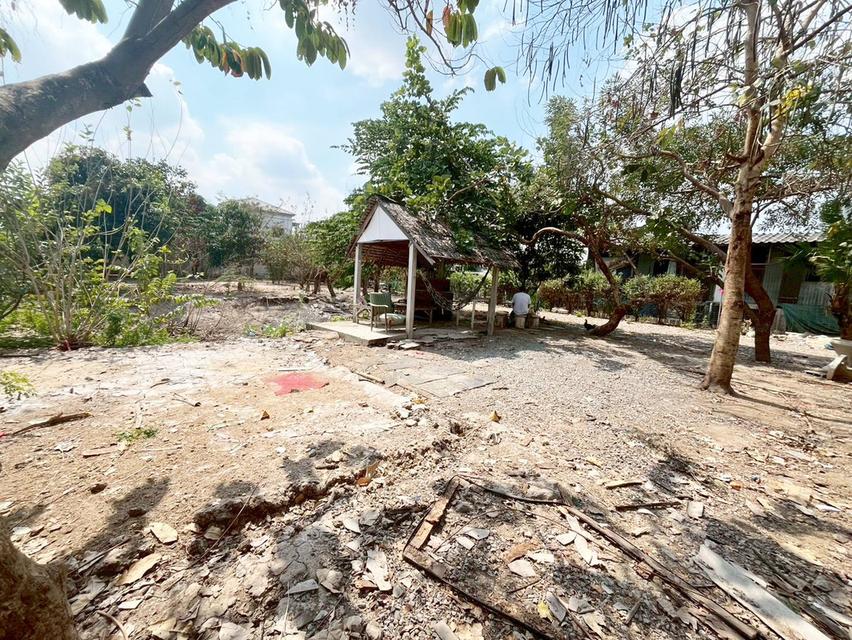 ขายที่ดินเปล่า ซอยรามอินทรา5 แยก22 บางเขน กรุงเทพมหานคร 4