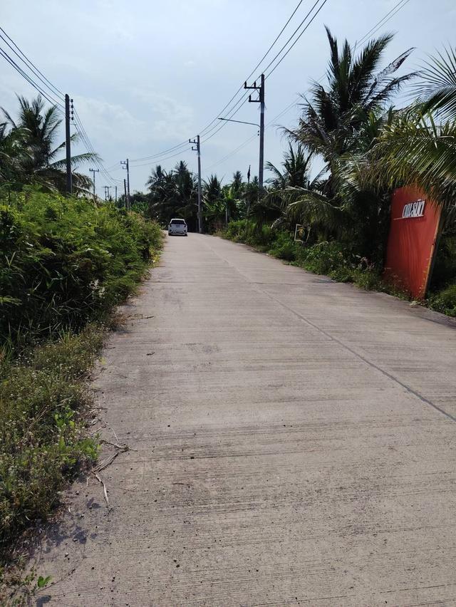 ที่ดิน 17